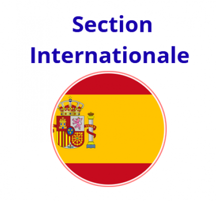 Candidature Section Internationale