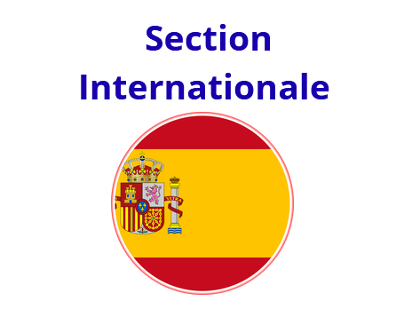 Candidature Section Internationale
